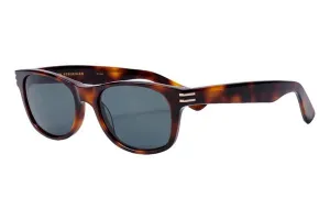 Jack Stegeman Jack Sunglasses in Tortoise